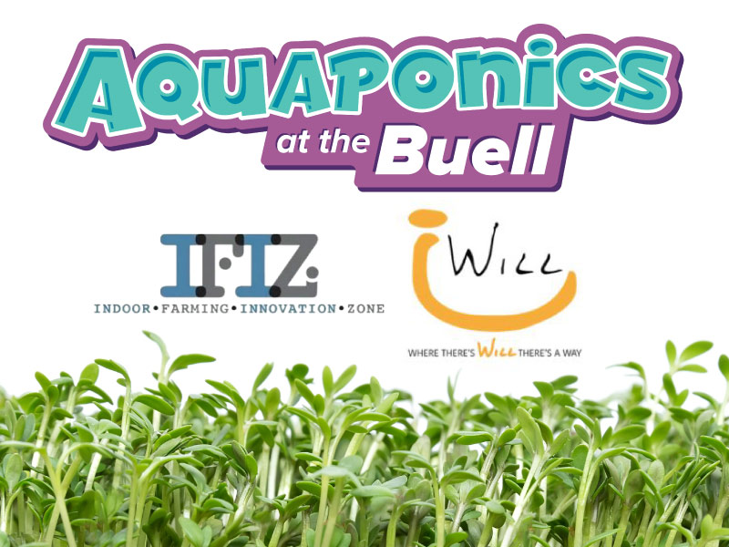aquaponics