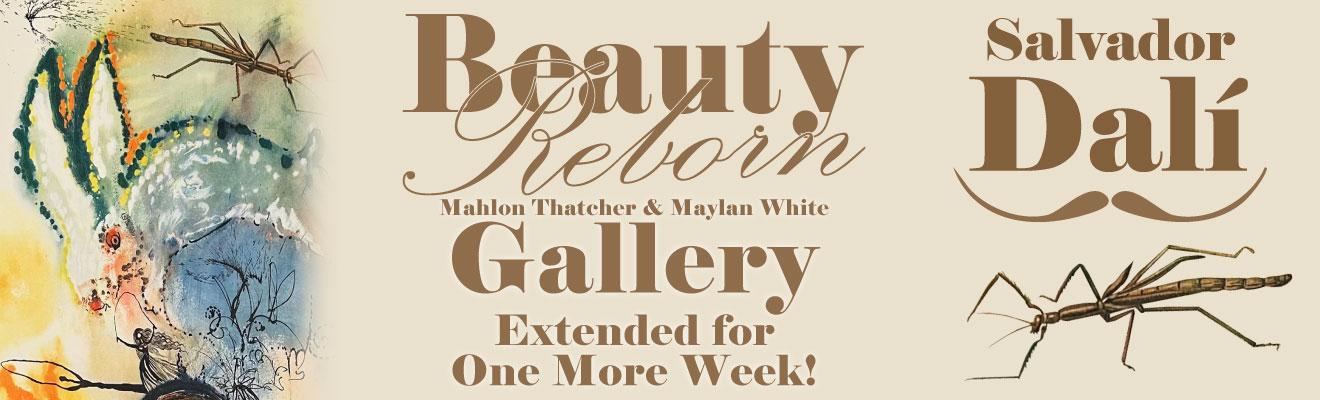 beauty Reborn