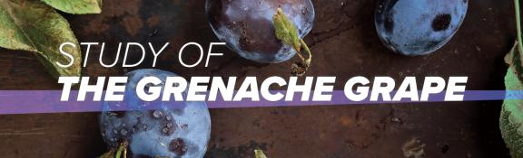 greanche grape