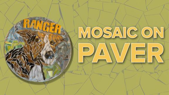 Mosaic On Paver