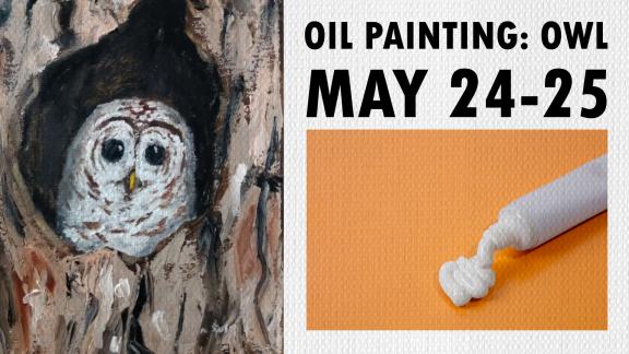 Oil Painting Owl May 24-25