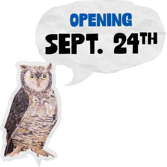 Owl800