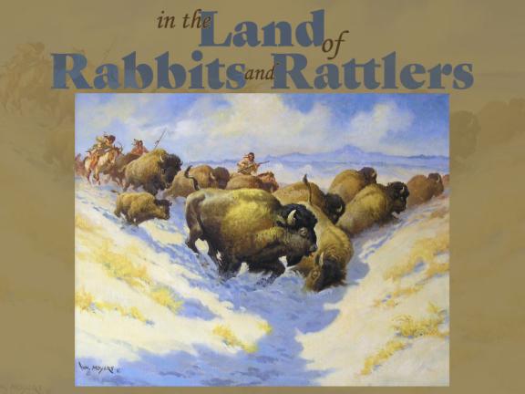 rabbits800