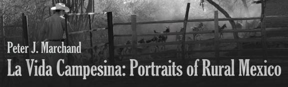 1320campesina