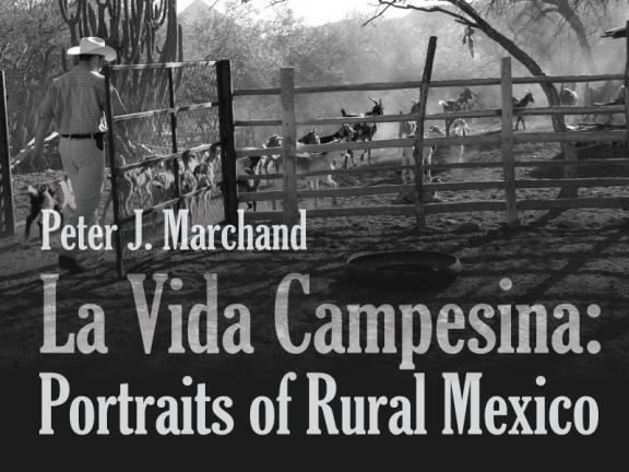 campesina800