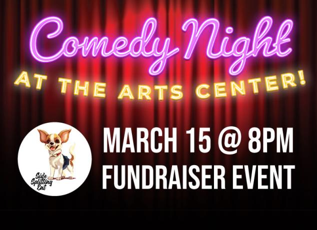 comedynight fundraiser