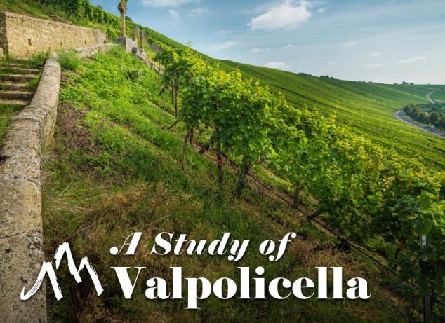 Valpolicella800