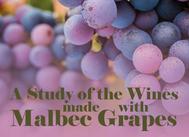 malbec800