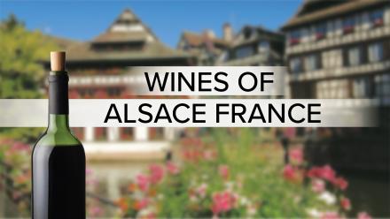 wines of alsace france
